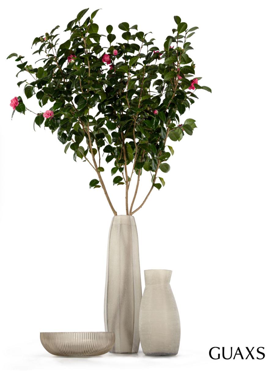 GUAXS vase with flowers.